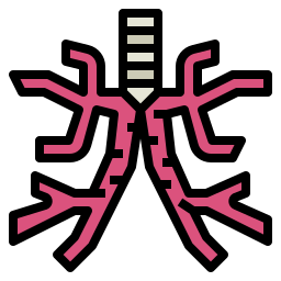 bronchus icoon