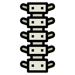Spinal column icon
