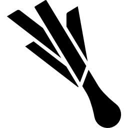 リーキ icon