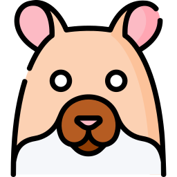 Hamster icon