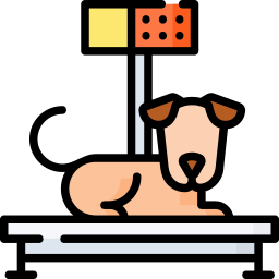 Dog icon