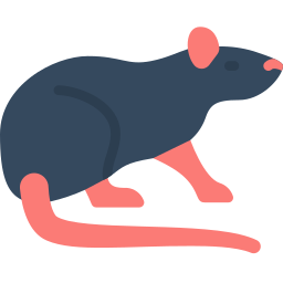 Rat icon