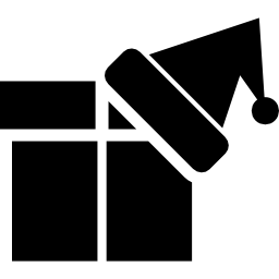 weihnachtsgeschenkbox icon