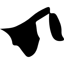 brunei icona