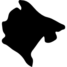 montenegro icona
