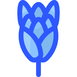 プロテア icon