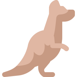 Kangaroo icon