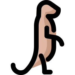 미어캣 icon