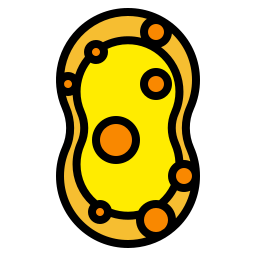 Sponge icon