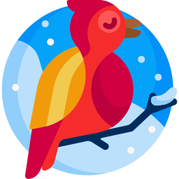 Bird icon