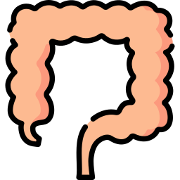 Intestine icon