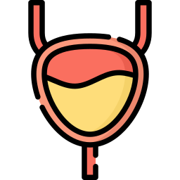 Bladder icon