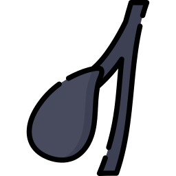 쓸개 icon