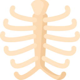 caixa toráxica Ícone