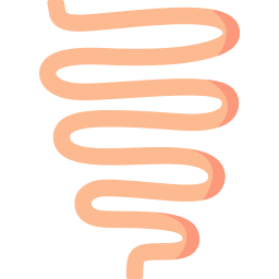 intestin Icône