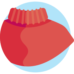 Poncho icon