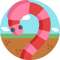 Worm icon