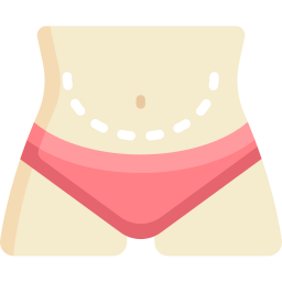 barriga Ícone