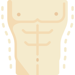torso icoon