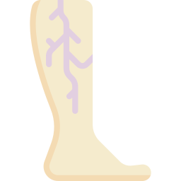 Veins icon