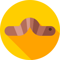 Worm icon