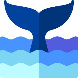 Whale icon