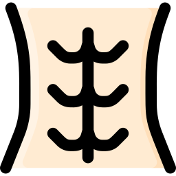 Abdominal icon