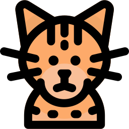 猫 icon