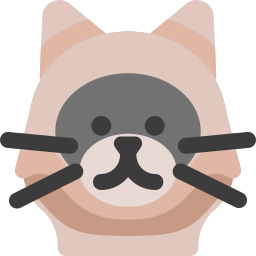Himalayan cat icon