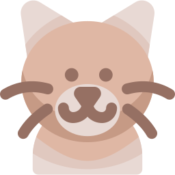 Burmese cat icon