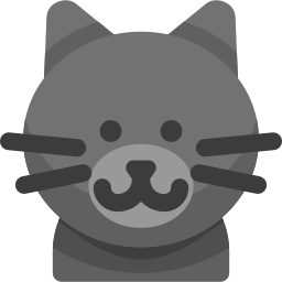 British shorthair cat icon