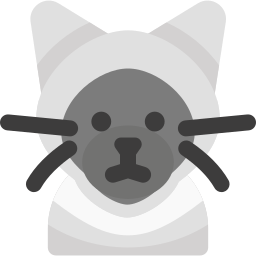 siamesische katze icon