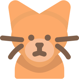 abessinier katze icon