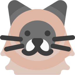 himalaya-katze icon