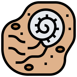 Fossil icon