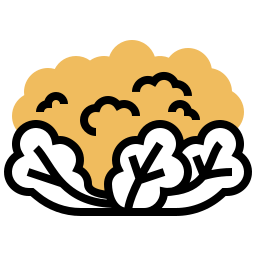 coliflor icono