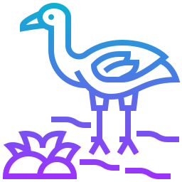 Flamingo icon