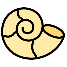 nautilus icoon