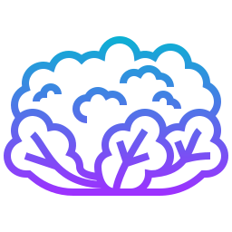 Cauliflower icon