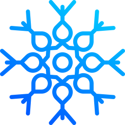 Winter flake icon