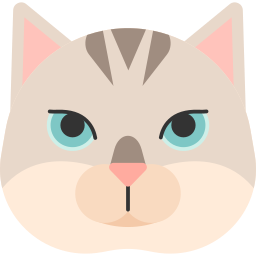 Burmilla cat icon