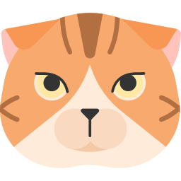 scottish fold cat icon