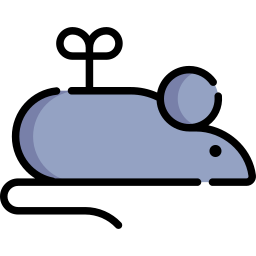 Mouse toy icon