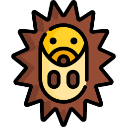 Hedgehog icon