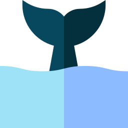 walvis icoon