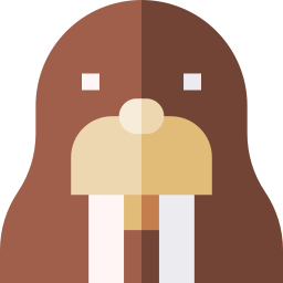 Walrus icon