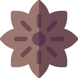 Anise icon