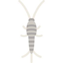 silberfisch icon