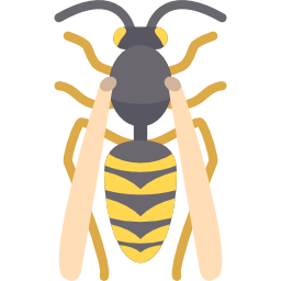 Wasp icon