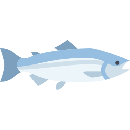 Salmon icon